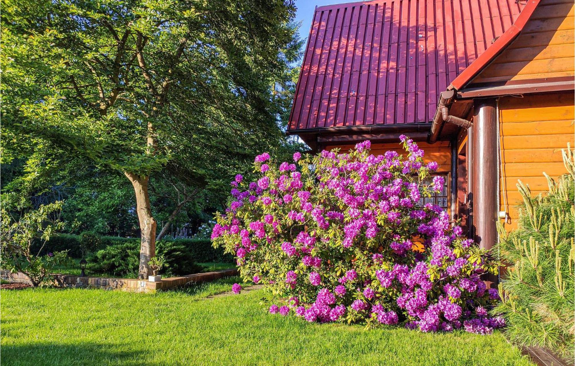 3 Bedroom Lovely Home In Nowe Warpno Exterior photo